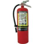 Badger™ Advantage™ 10 lb ABC Extinguisher w/ Wall Hook